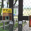 クマさんへお願い