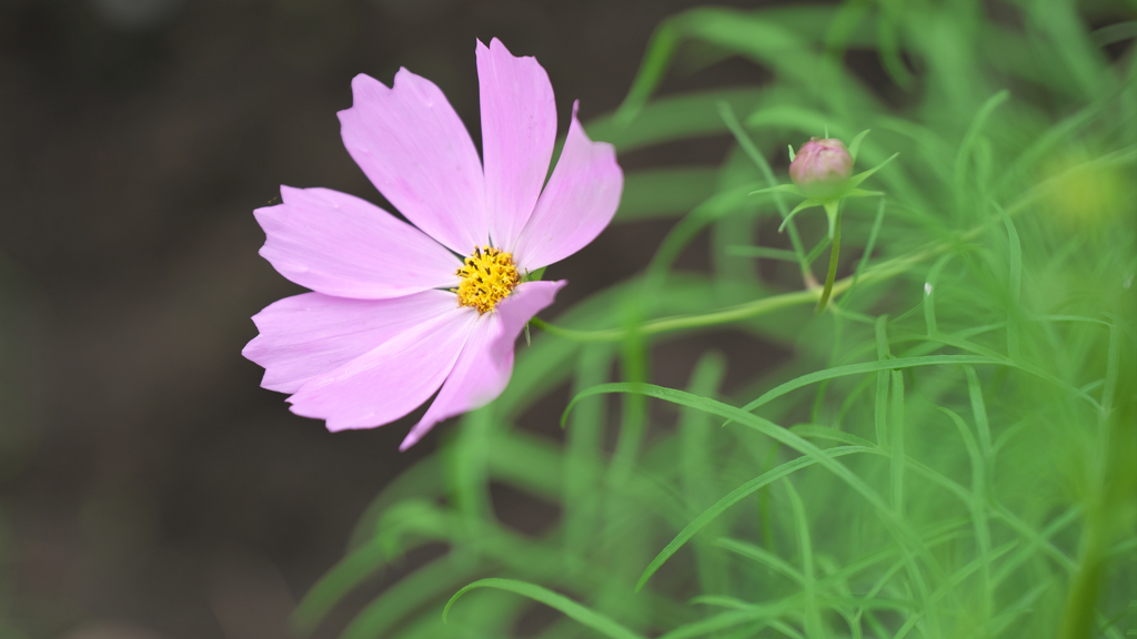 9月