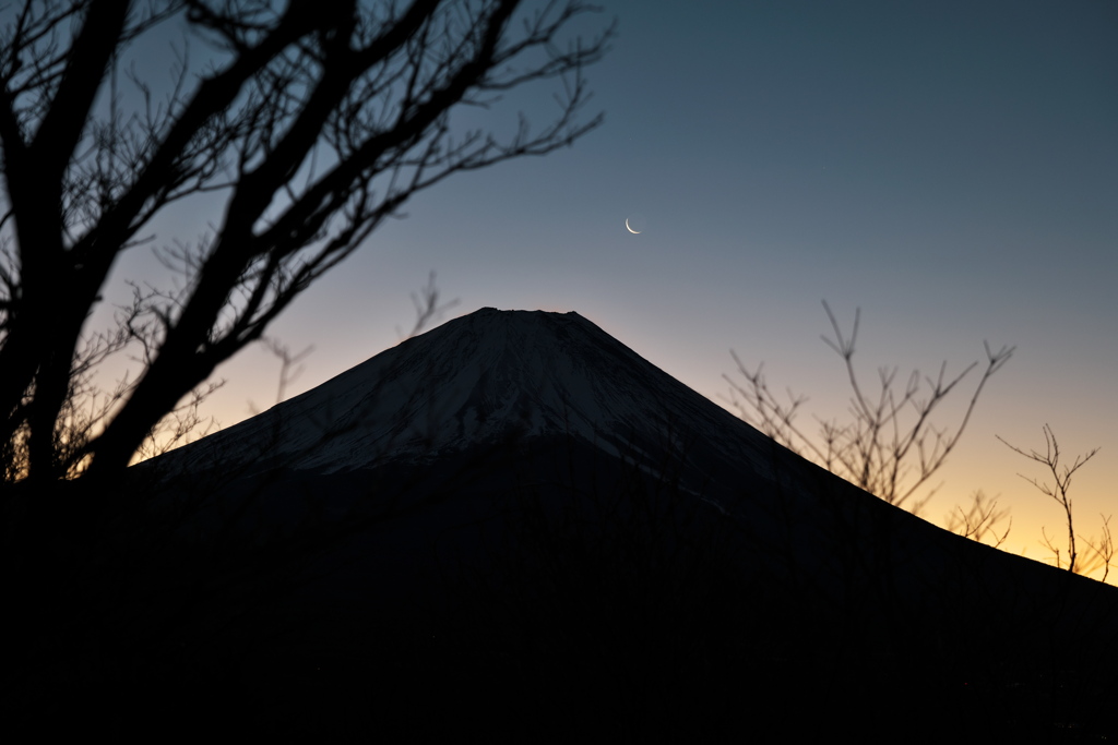 もうすぐだと夜明けを示す下弦の月