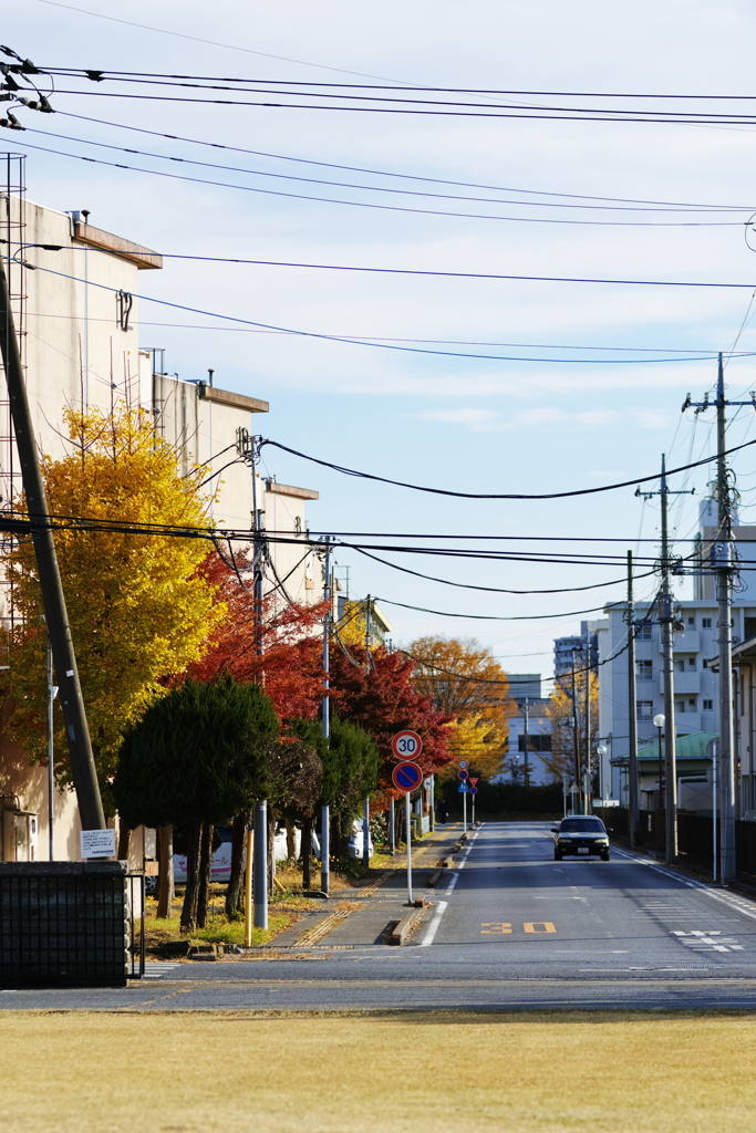 生活圏での紅葉