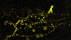 夜更かし(6年ぶり)