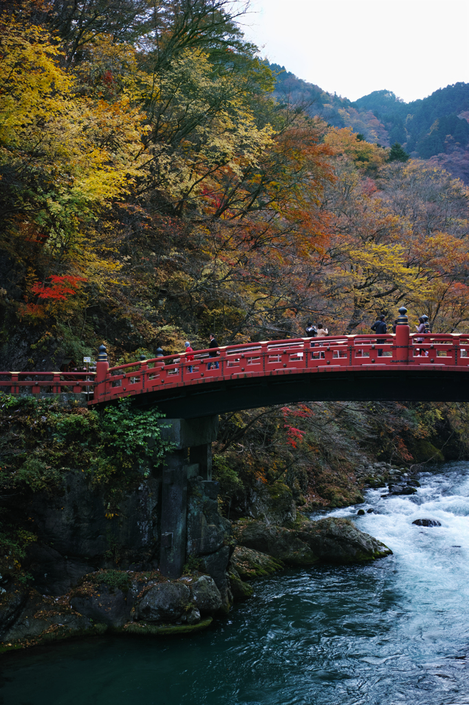 神橋と紅葉