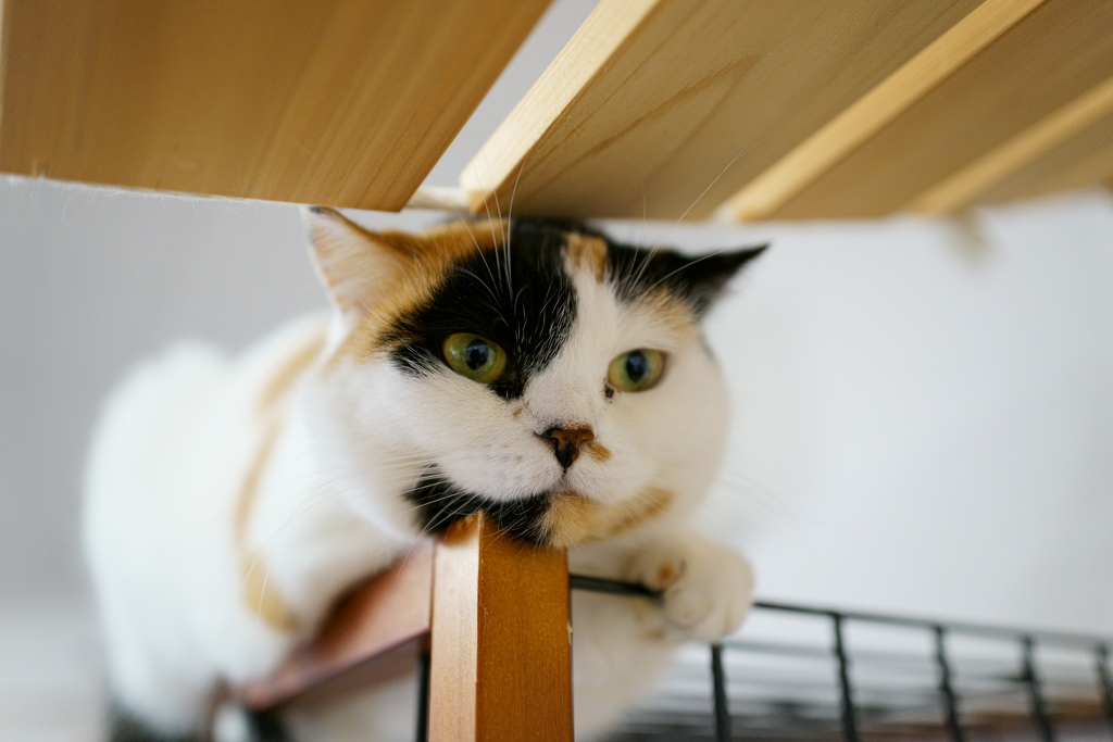 下界を覗く
