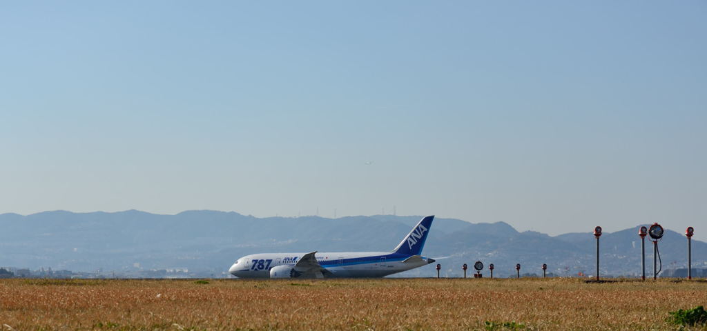 伊丹空港ボーイング787