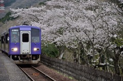 小学4年生が撮った桜と列車