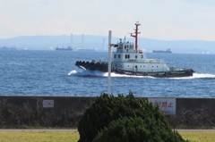 風に向かって走る