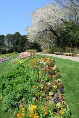 里山ガーデン②