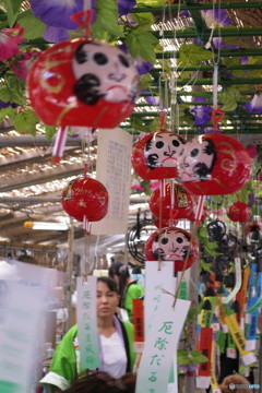 厄除だるま風鈴