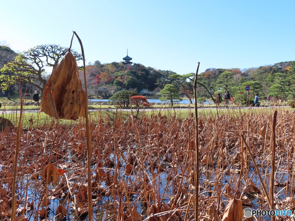 三渓園｜宴の後