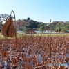 三渓園｜宴の後