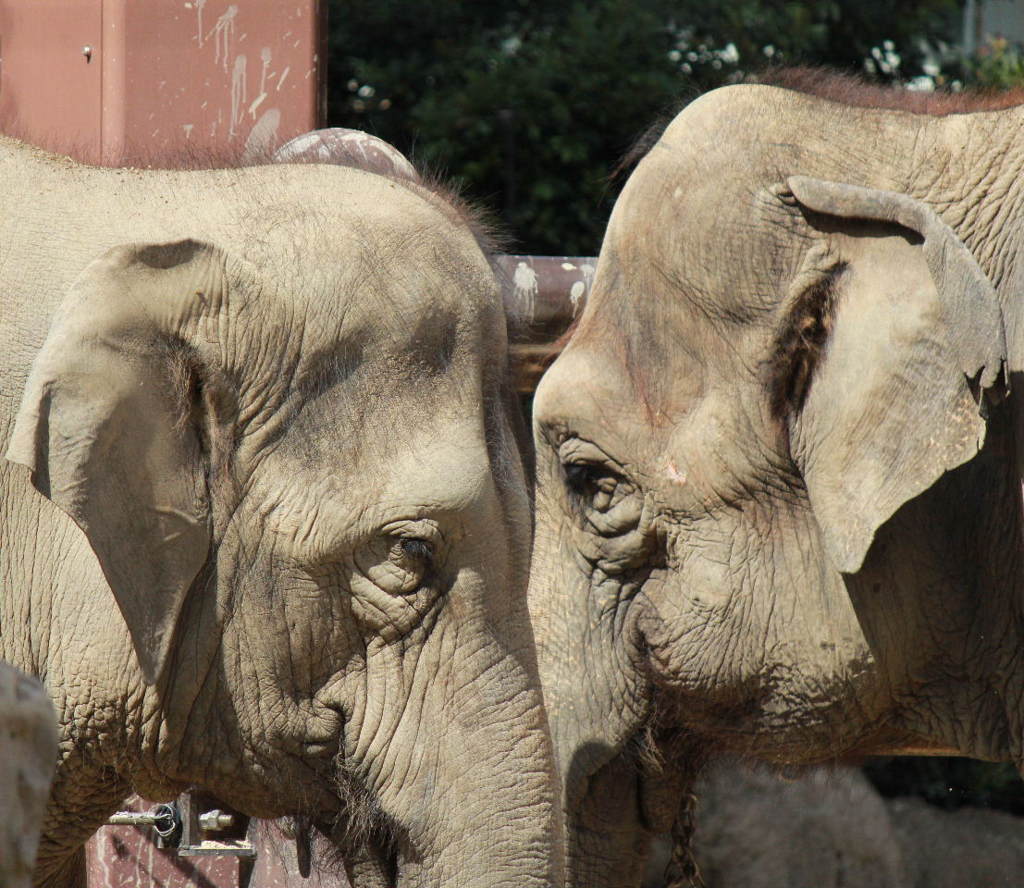 目と目が合って
