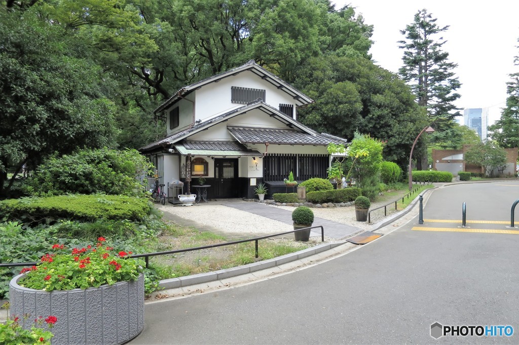 和風西洋料理店