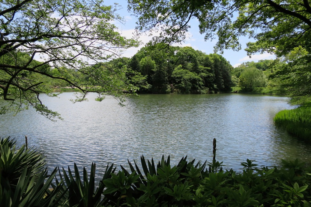 芽吹き②