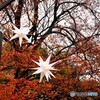 星の輝き