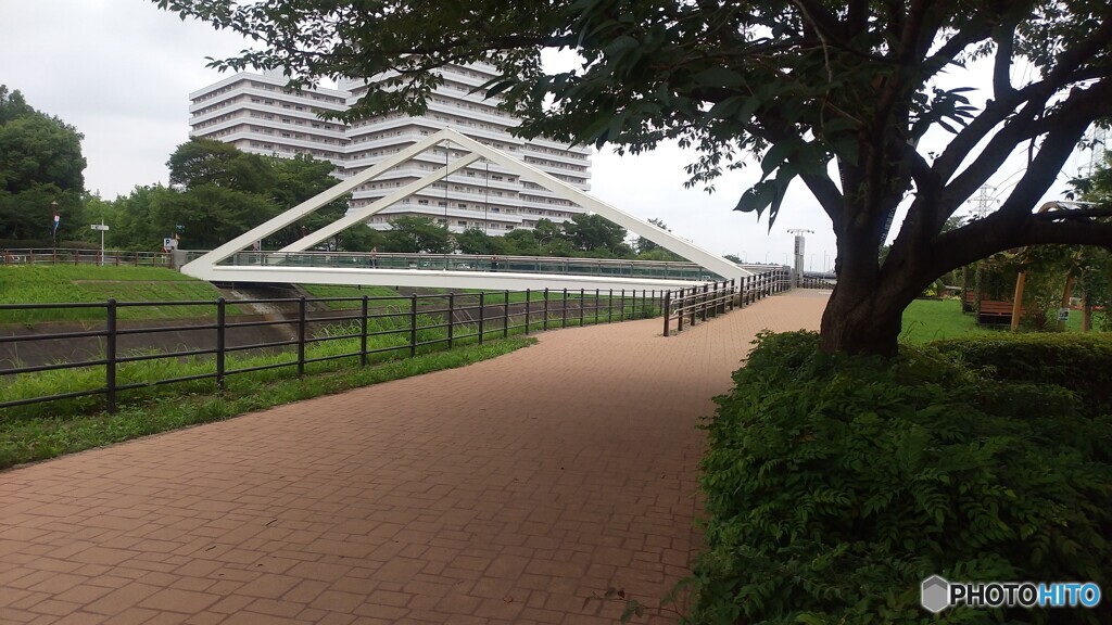 三角橋｜新横浜公園