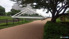 三角橋｜新横浜公園