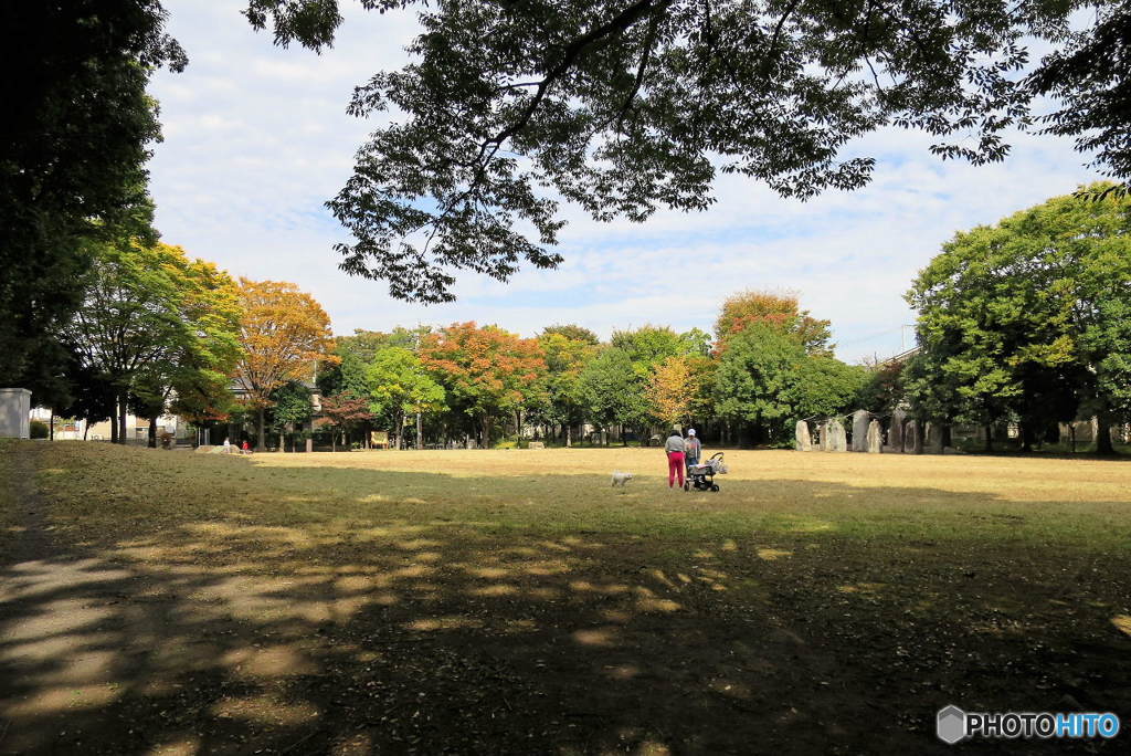 紅葉の季節