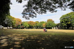 紅葉の季節