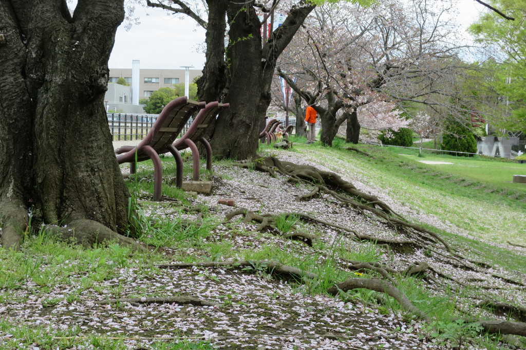 季節の移り変わり