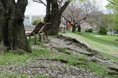 季節の移り変わり