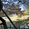 秋の境内