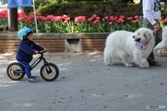 早くおいで