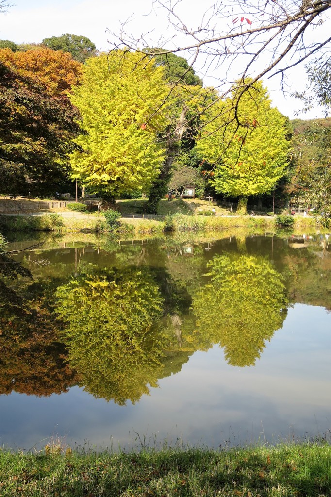 称名寺の紅葉