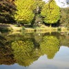 称名寺の紅葉