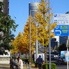 木の葉髪