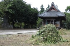 地元の鎮守さん