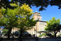 神奈川県庁の紅葉