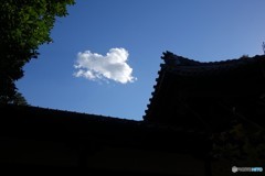 秋の空