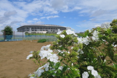 季節のうつろい