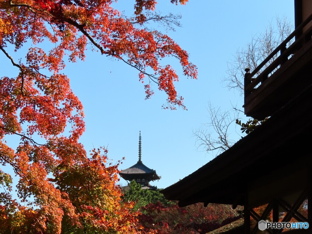三渓園｜三重塔