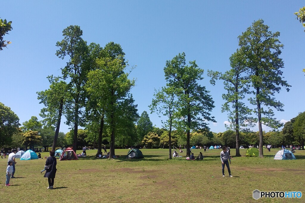 ひょうたん原っぱ｜岸根公園 