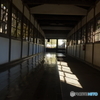 百閒廊下