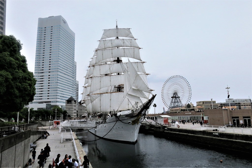 日本丸総帆展帆
