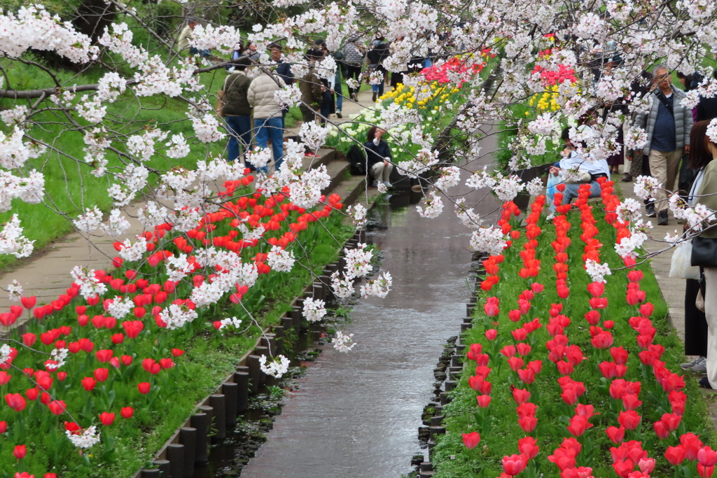 花の小径