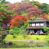 三渓園