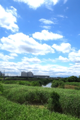 梅雨の晴れ間