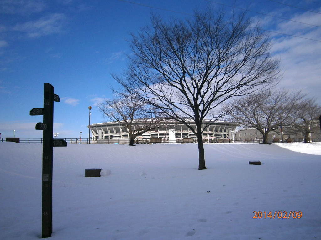 横浜で積雪１６cm