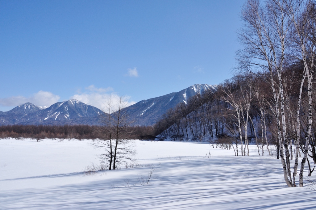 白銀の世界・・・小田代が原
