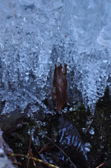 氷のネックレス