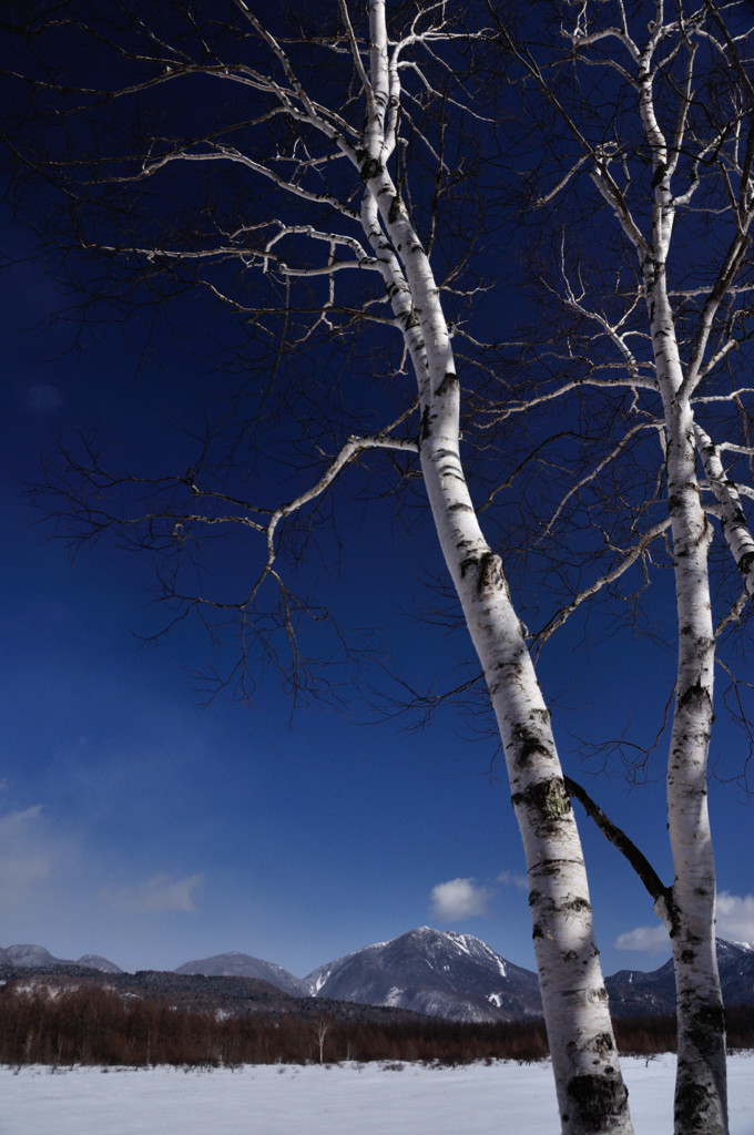 雪の小田代が原