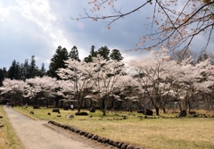 日光　憾満が淵のさくら