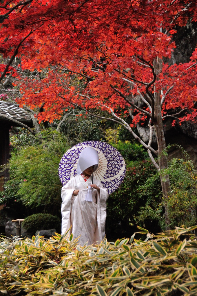 あなたの幸せ・・・祈ります。。。