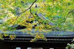 鎌倉の秋