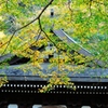 鎌倉の秋