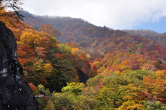 錦秋の山