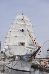 日本丸　総帆展帆